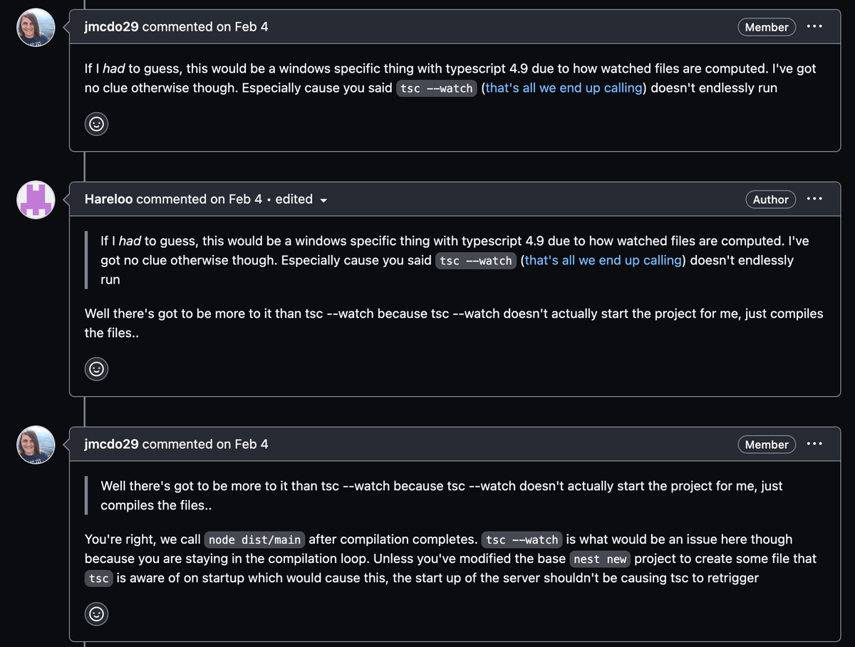 nestjs-watch-issues-3